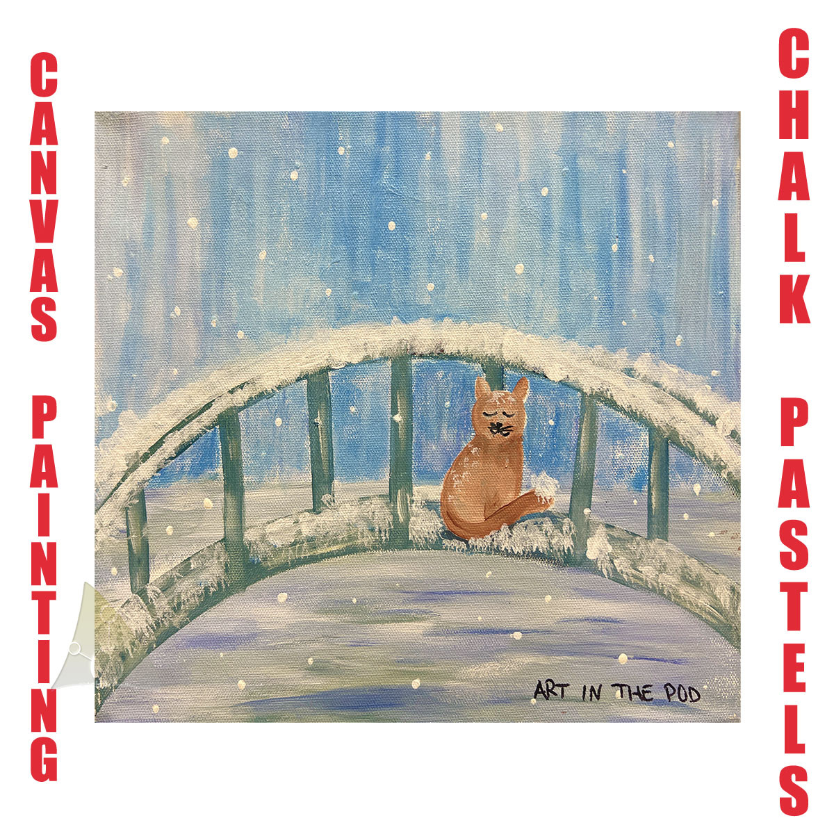 12-29-23-am Cool Cat.jpg