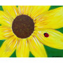 tos-6-16-2022 pm a little luck Georgia O'Keeffe art camp.jpg