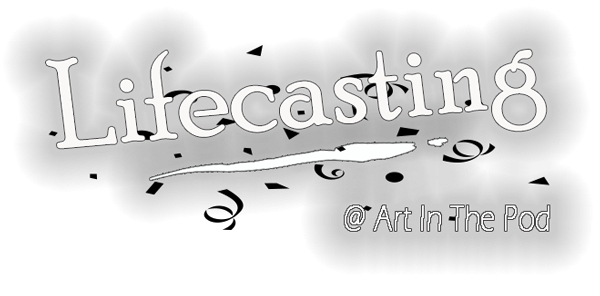 Lifecasting FAQ&#039;S